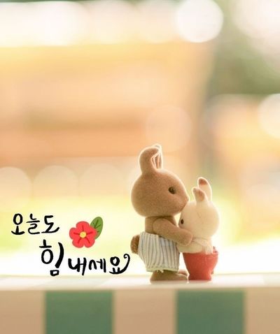 김동현님의 프로필