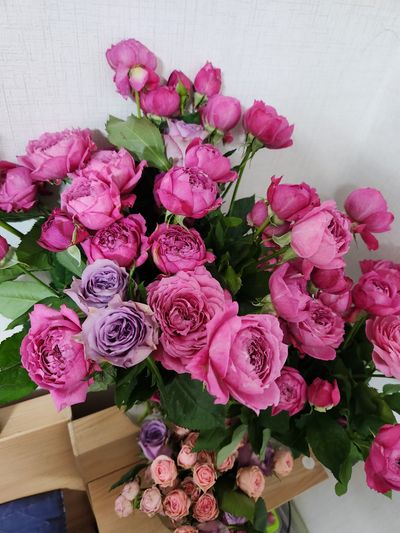 박선희님의 프로필