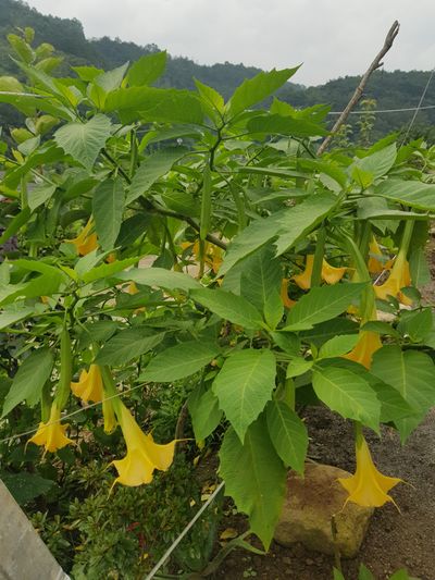최정옥님의 프로필