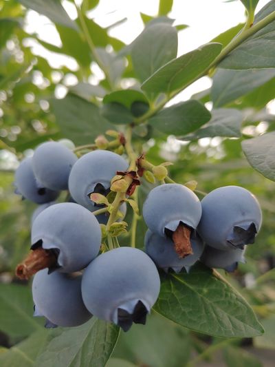 도경회님의 프로필