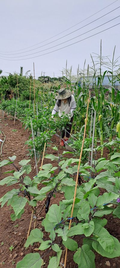 송영철님의 프로필
