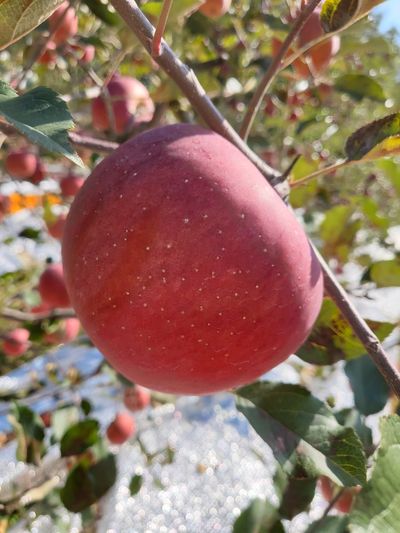 김주영님의 프로필