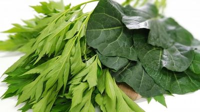 산골아낙네님의 프로필