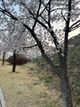 참깨31839님의 프로필