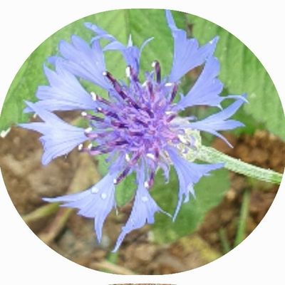 김정환님의 프로필