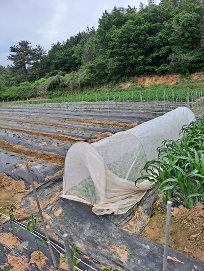 최구현님의 프로필