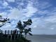 NONG_LIN_2님의 프로필