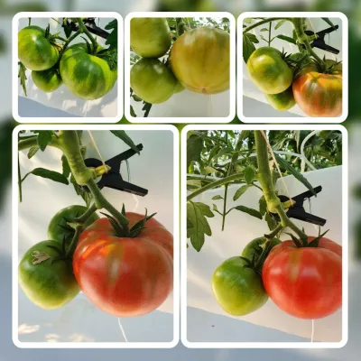 김한라님의 프로필