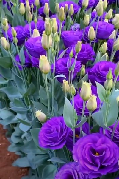 김영례님의 프로필