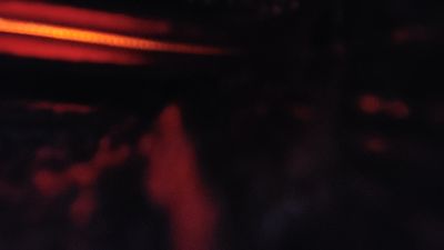 박해란님의 프로필