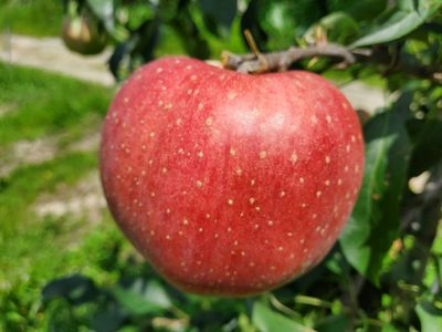 김종철님의 프로필