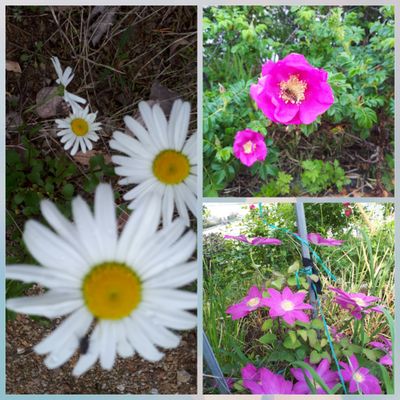 박영옥님의 프로필