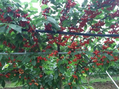 곰식이님의 프로필