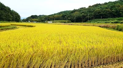 토끼ㆍ솔티팜님의 프로필