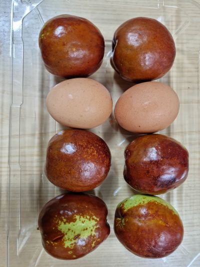 거창파랑새농원님의 프로필