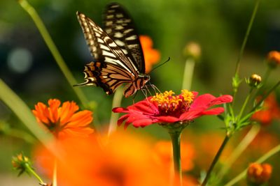 산 아래님의 프로필