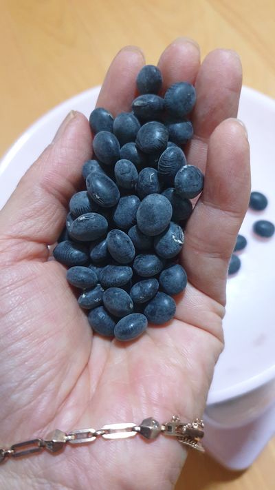 김수연님의 프로필