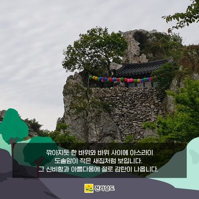 배추종자 붓습니다님의 프로필