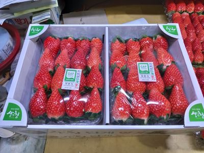 장원농장딸기농부님의 프로필