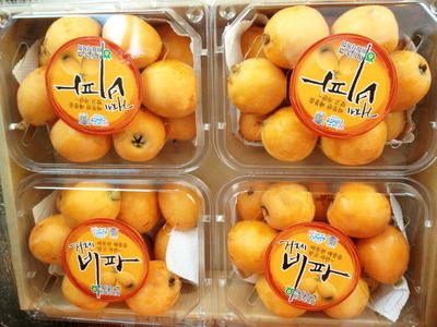 마짱님의 프로필