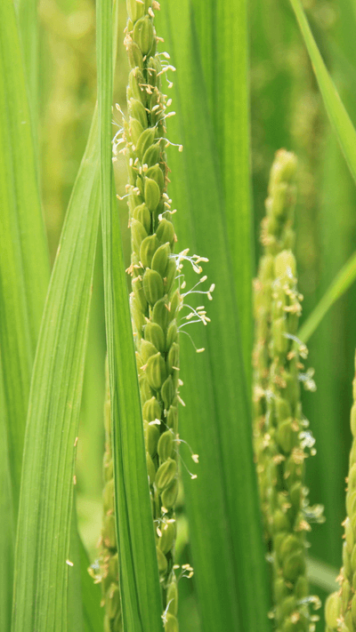 친환경 지킴이님의 프로필