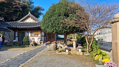 쥬얼리 농장닝회원님의 프로필