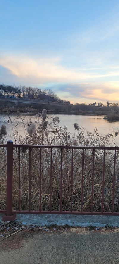 흘러가는 물처럼님의 프로필