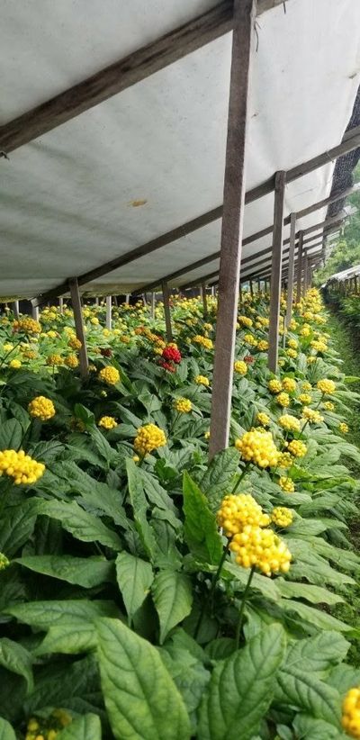 포천인삼농사꾼님의 프로필