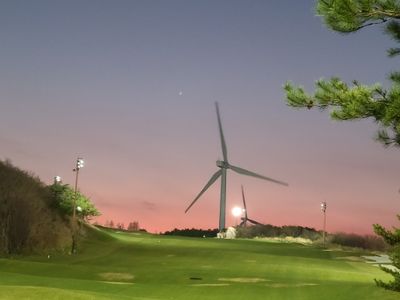 김새연님의 프로필