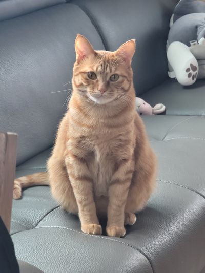 향기나무농장 님의 프로필