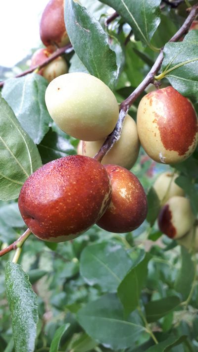 뽀롱이님의 프로필