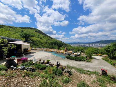 더드림양봉 님의 프로필