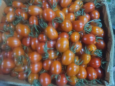 순이네 농장님의 프로필