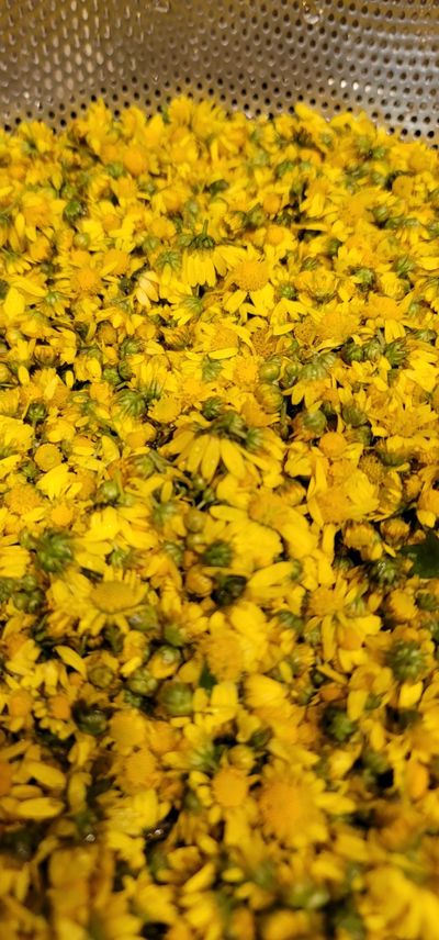 대박차 주인장님의 프로필