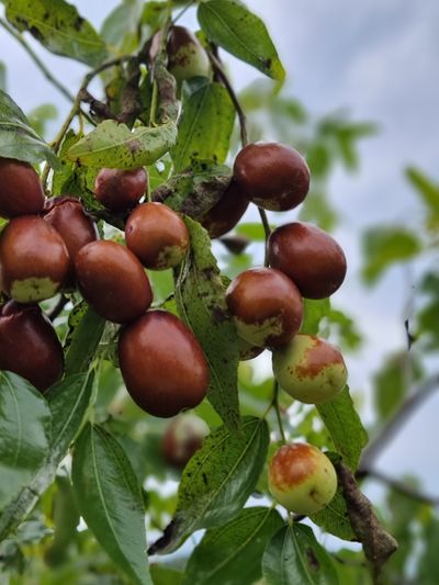 GAP인증농가님의 프로필