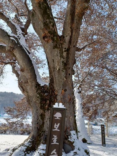 자연을사랑하자님의 프로필