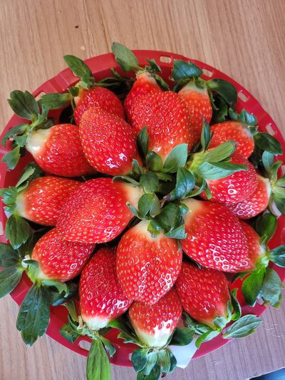 딸기1205님의 프로필