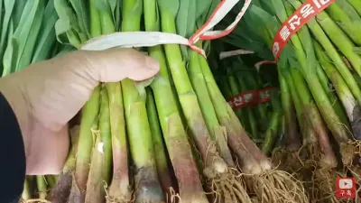 강낭콩키우는농부님의 프로필