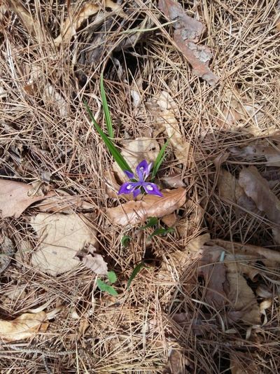 토마토11103님의 프로필