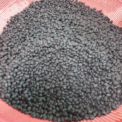 이름이없음님의 프로필