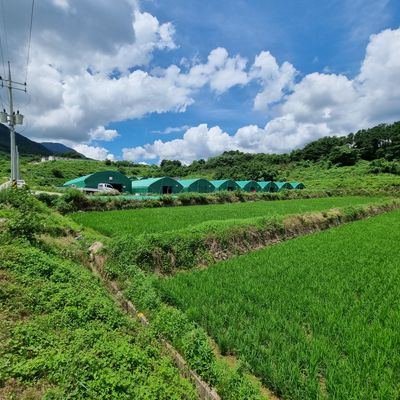 표돌이님의 프로필