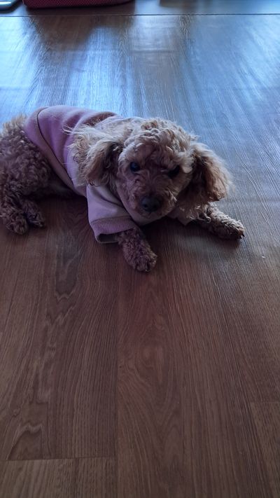 밀양청도면님의 프로필