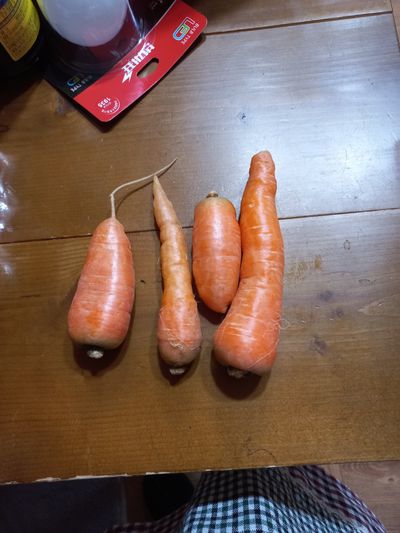 고구마13319님의 프로필