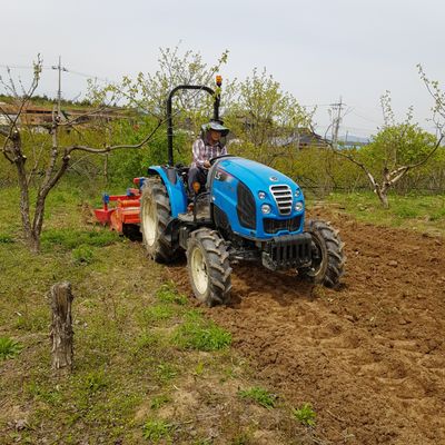 들무새님의 프로필