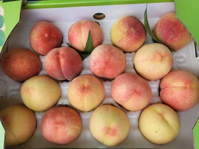 윈~농장님의 프로필