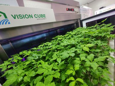 바이오진담 ㅡ새싹삼님의 프로필