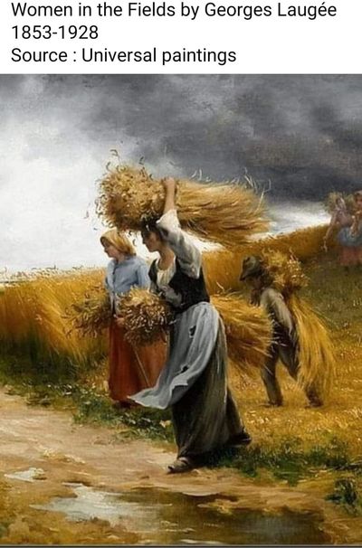 김미애님의 프로필