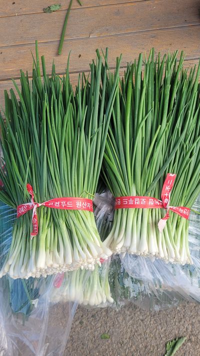 고구마14930님의 프로필