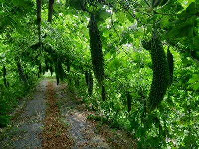 여주,비트농부님의 프로필