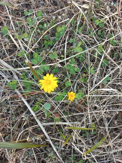 앞산 노을님의 프로필
